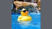 Twin Dolphin Pool & Spa