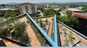 Living Roofs
