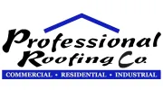 Professional Roofing