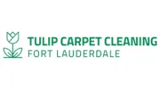 Tulip Carpet Cleaning