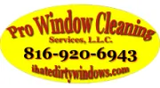 Pro Window Cleaning