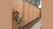 Harrison Fence