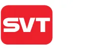 Security Video Technology