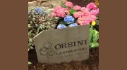 Orsini Landscaping