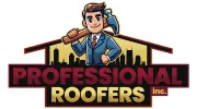 Professional Roofers