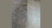 Dirt Free Carpet & Tile