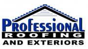 Professional Roofing