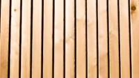 Engineered Wood Siding
