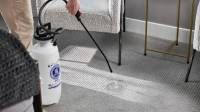 Pet Urine Odor Removal