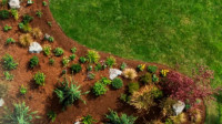 Sod & Turf Installation