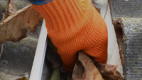 Gutter Cleaning