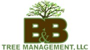 B&B Tree Management