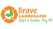 Brave Landscapes