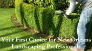 New Orleans Landscaping