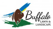 Buffalo Lawn & Landscape