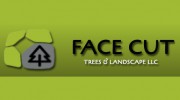 Face Cut Trees & Landscape