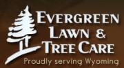 Evergreen Lawn & Tree Care