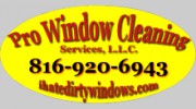 Pro Window Cleaning