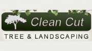 Clean Cut Tree & Landscaping