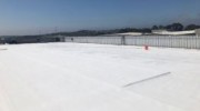TPO Roofing