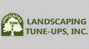 Landscaping Tune-Ups