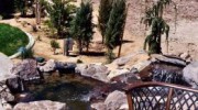 Hardscape Services