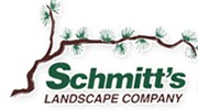 Schmitt's Landscape